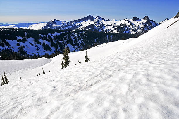 Alpine scene around Mount Rainier, North Cascades, Washington
