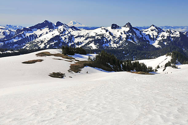 istock Alpine scene around Mount Rainier, North Cascades, Washington 484683608