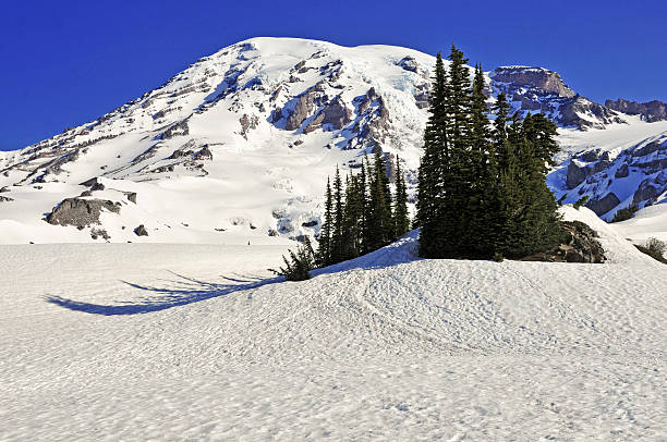 istock Alpine scene around Mount Rainier, North Cascades, Washington 484683610