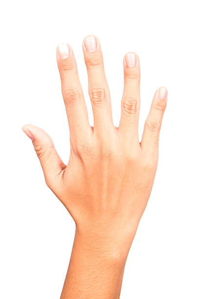 istock woman hand sign on white background 484683778