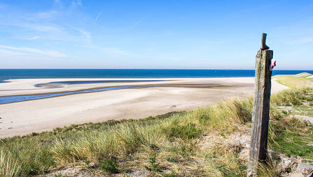 istock Seaview from the dunes over the beach 484684938