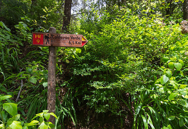 istock Touristic signpost for levada walk in Madeira 484687364
