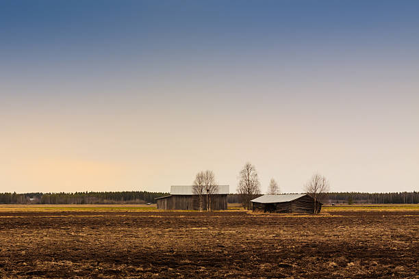 istock Two Old Barn Houses In The Middle Of The Fields 484687392