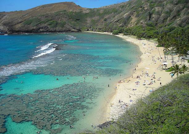 istock Hanauma Bay, Oahu, Hawaii 484691194