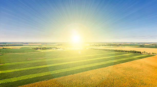 South Dakota Sunshine