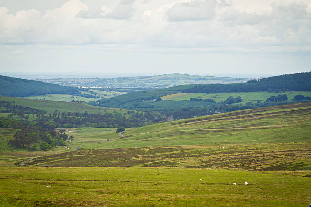 Irish Landscape stock photo