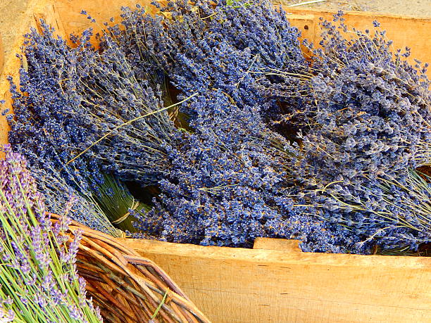 Lavender bunches in a shop in Provence
