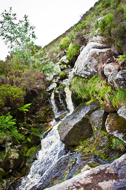 Stream In The Hills Of Ireland stock photo