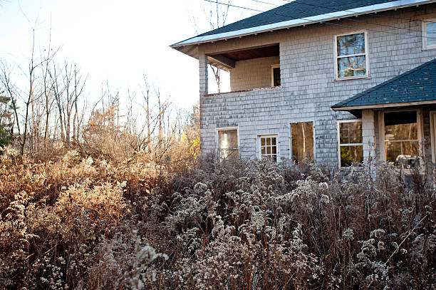 istock Abandoned house overgrown with grass and weeds. 484692600
