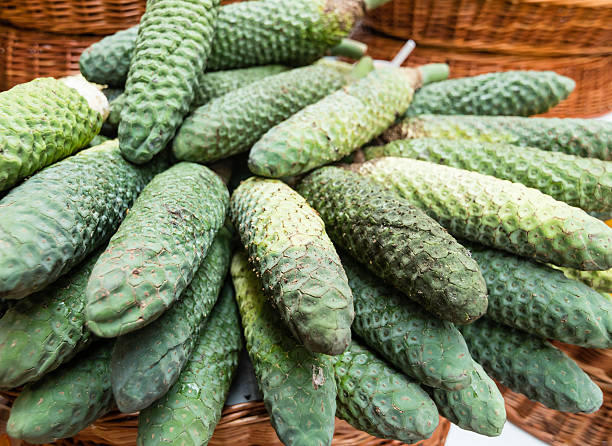 istock Exotic fruit monstera deliciosa in Madeira 484692718