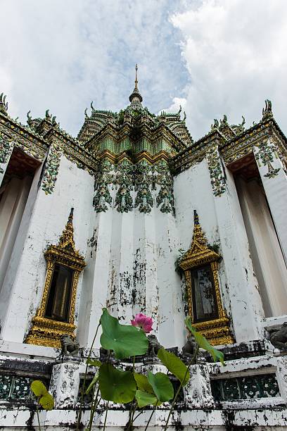 istock blooming water lily in a temple in bangkok 484693152