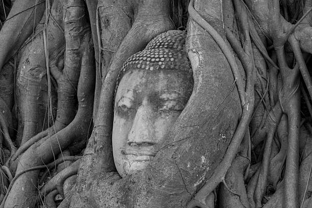 istock visiting ayutthaya in thailand 484693278