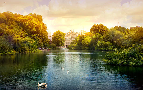 ロンドン park ,london - palace buckingham palace london england famous place ストックフォトと画像