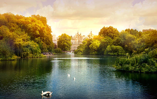 London park, London London park and lake in sunset buckingham palace photos stock pictures, royalty-free photos & images