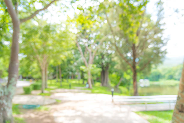 istock Blurry at the garden 484696384