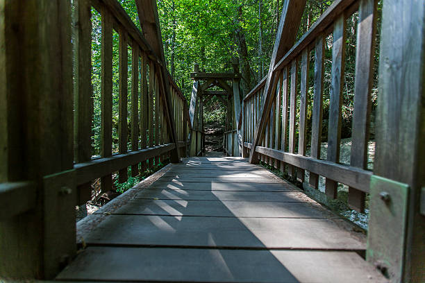 istock wooden bridge in forest 484697922