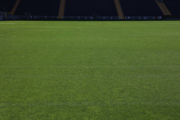 Soccer stadium green grass field