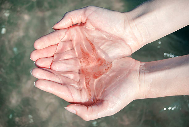 istock jellyfish in women's hands 484705418