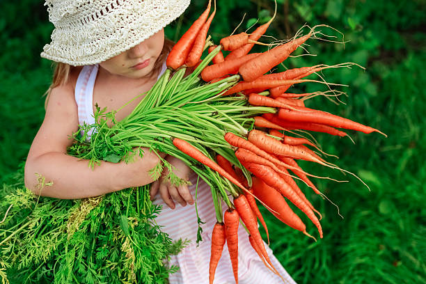 ragazza con un casco di fresco di carote - vegetable child growth people foto e immagini stock