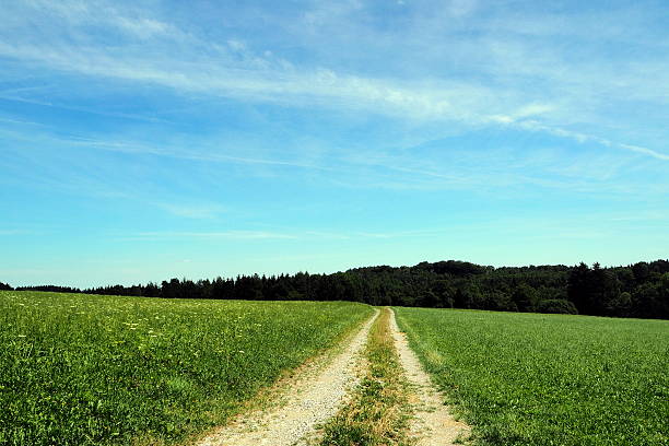 On the countryside Hiking along a rough agricultural cart road between vast meadows,  towards the horizon on a perfect sunny day in late July. Photograph taken near Irsee, Bavaria. kultivieren stock pictures, royalty-free photos & images