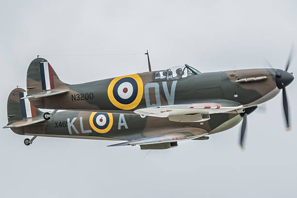 Two Spitfires - Battle of Britain - RAF fighter aircraft Duxford, UK - July 11, 2015: Two early model Spitfire fighter aircraft pictured in flight over Cambridgeshire, England. spitfire stock pictures, royalty-free photos & images