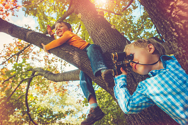 Children on a tree in autumn