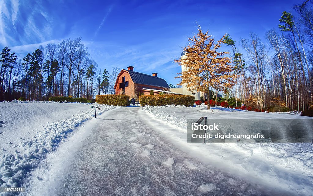 La neige autour de la billy graham library après la tempête d'hiver - Photo de Arbre libre de droits