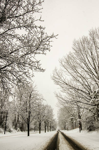 istock snow covered road and trees after winter storm 484713005