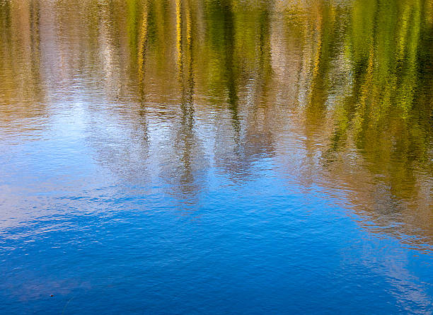 istock Spring time reflections at Yarrow valley park 484713943