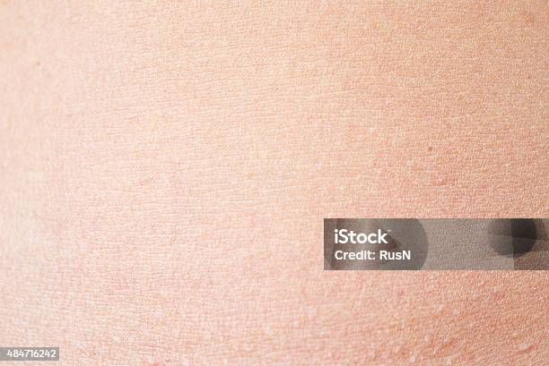 Healthy Skin Stock Photo - Download Image Now - 2015, Abstract, Adult