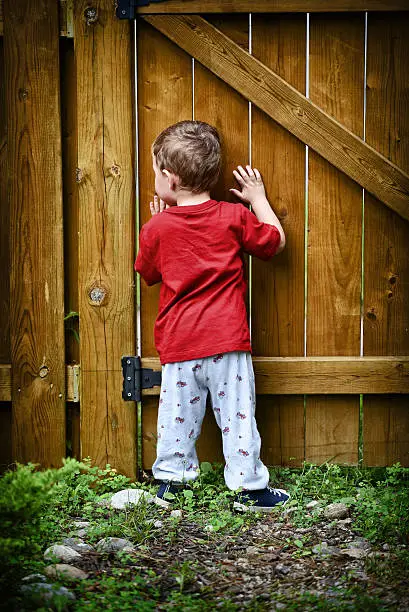 A small peeping toddler peers out of a hole in the fence at the world beyond his backyard.