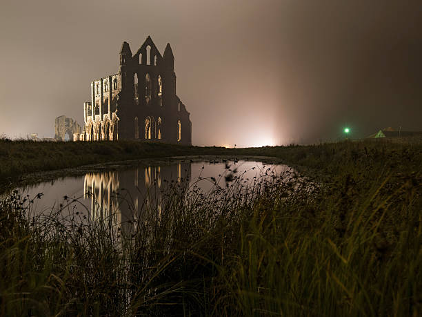 Whitby Abbey w mgły – zdjęcie