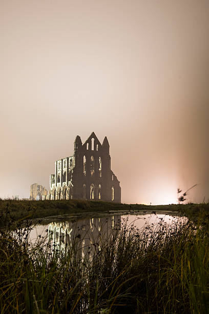 Whitby Abbazia di nebbia - foto stock