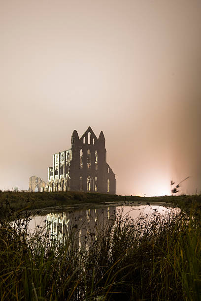 Cтоковое фото Whitby Abbey в туман