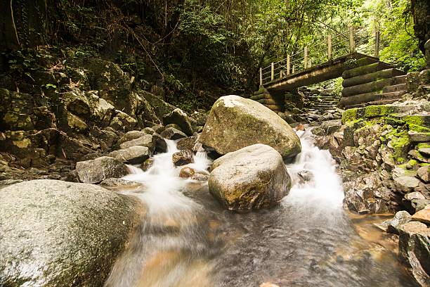 waterfall with brigde stock photo