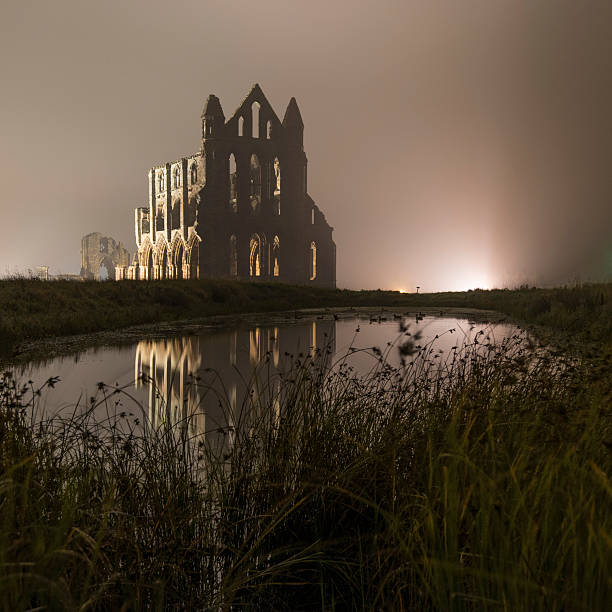 Cтоковое фото Whitby Abbey в туман