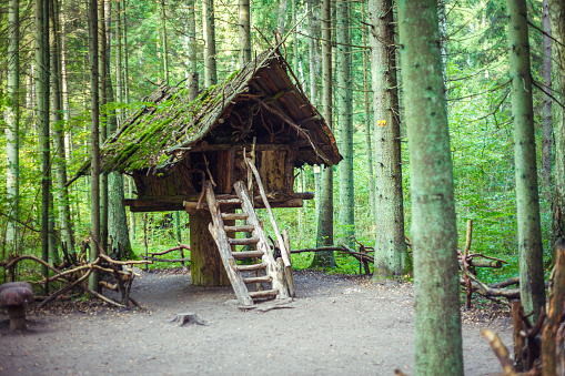 A wooden shelter in the nature surrounded by trees at Ore Mountains, Czech republic