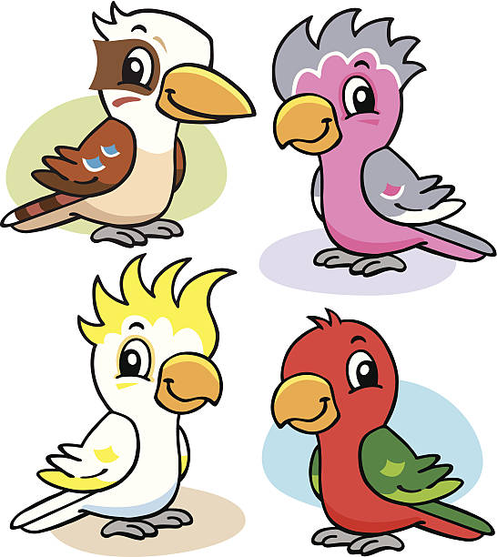 australische vögel - cockatoo stock-grafiken, -clipart, -cartoons und -symbole