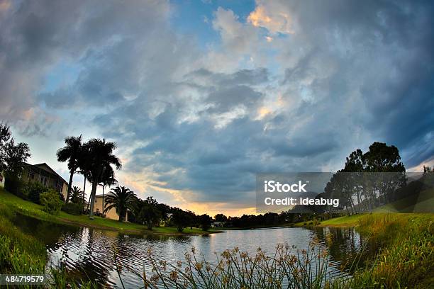 Photo libre de droit de Coucher De Soleil Tropical Au Fish Eye banque d'images et plus d'images libres de droit de Arbre - Arbre, Arbre tropical, Beauté de la nature