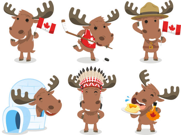 ilustrações de stock, clip art, desenhos animados e ícones de gansos do canadá moose mamífero espécie animal ícone da cultura - canadian culture illustrations