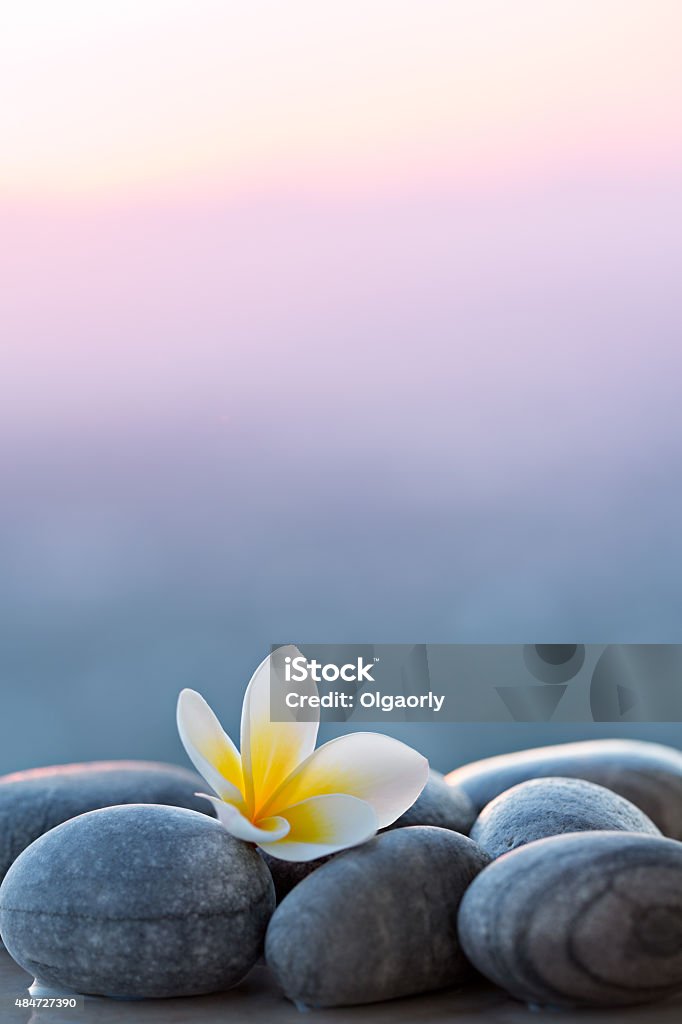 Plumeria flower and stones for spa background Nature Stock Photo