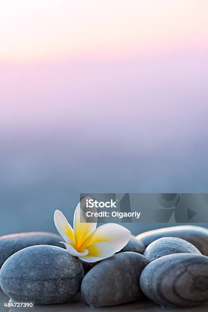 Plumeria Flower And Stones For Spa Background Stock Photo - Download Image Now - Nature, Relaxation, Zen-like
