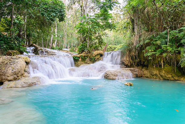 istock Kouangxi waterfall at Luang Prabang in Laos. 484734476