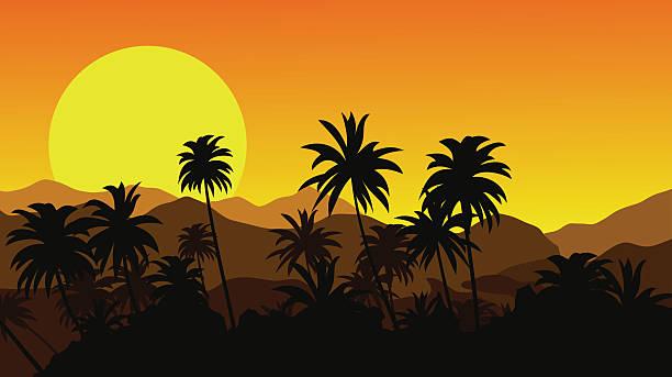 illustrazioni stock, clip art, cartoni animati e icone di tendenza di tramonto in montagne tropicali con silhouette di palme. - great smoky mountains illustrations