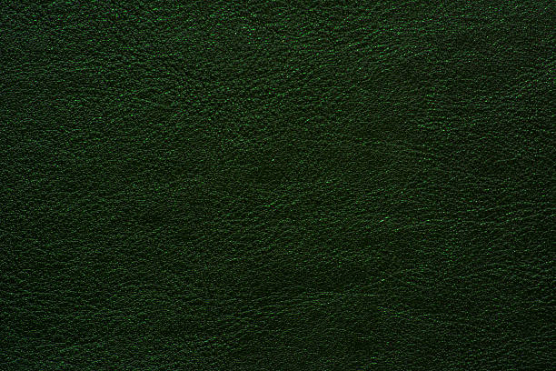 vert mousse en cuir - leather green hide textured effect photos et images de collection