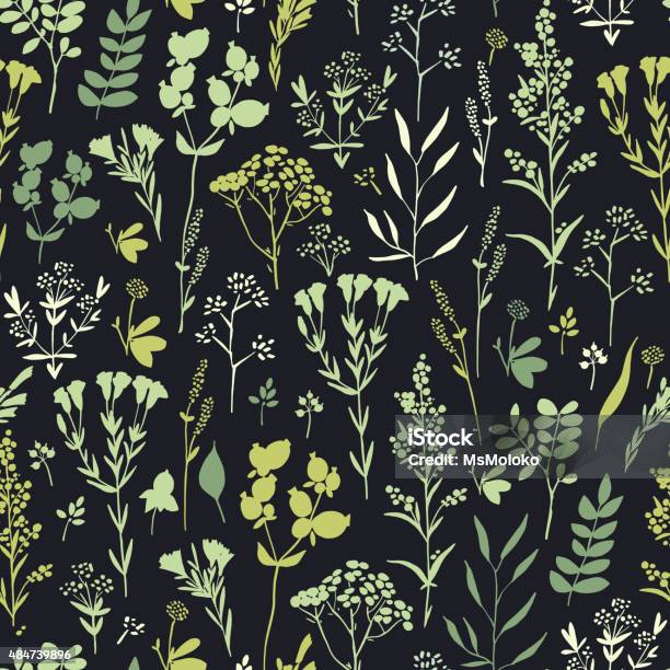 Seamless Handdrawn Floral Pattern With Herbs Stock Illustration - Download Image Now - 2015, Abstract, Anise