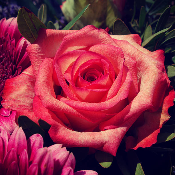 Yellow Lily and Rose flower.