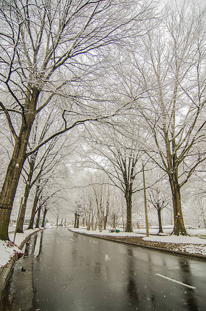 istock snow covered road and trees after winter storm 484740609