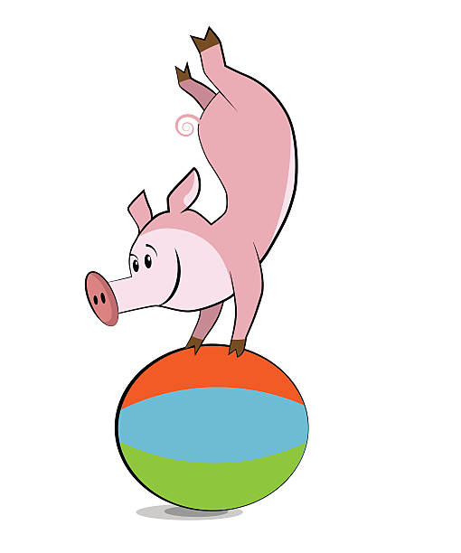 schwein training mit pilates-ball - river wear illustrations stock-grafiken, -clipart, -cartoons und -symbole