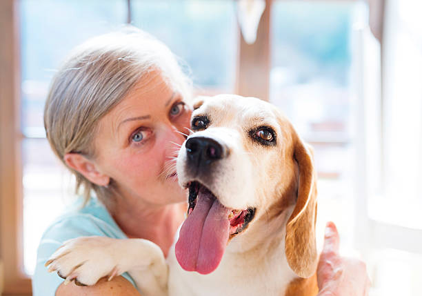 istock Senior woman with her dog 484742596